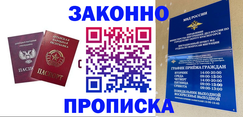 прописка в Щиграх